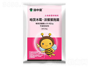 ����ľù���������߾�-������