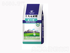 ����΢ʮ��Ԫ�ط�-¡��?du��)? style=