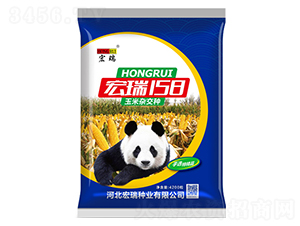 ����158���{��-���׷N��-����N�I(y��)