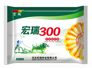 ����300-���׷N��-����N�I(y��)