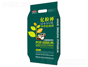 ��������12-6-37+TE-�|����-���S��