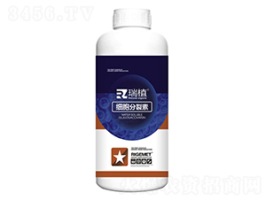 ��(x��)��������-��ֲ-���w�~�� 