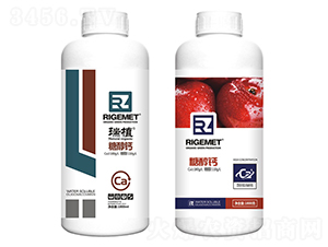 �Ǵ��}-��ֲ-���w�~��