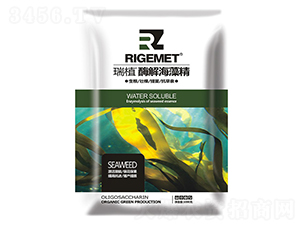 ø�⺣�徫-��ֲ-���w�~��