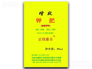 ��Ч⛷�-���C�μ�-��������