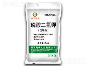 �r(n��ng)�I(y��)��(j��)��������-���ӌ�(sh��)�I(y��)