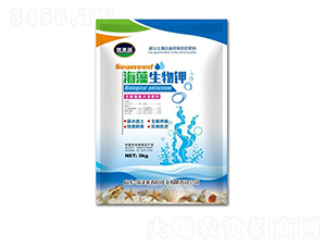 ���������-�W����-��������