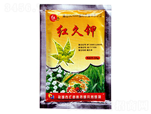 �t���-�R���r(n��ng)��