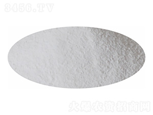 �����(NOP)-�P�����d