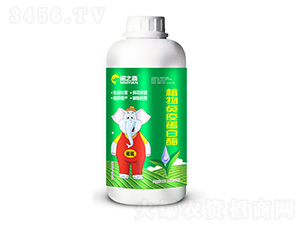 植物免疫蛋白酶-諾之森