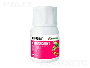 �׷����־���-�۟o(w��)ۙ-�T�_(d��)