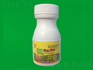 路氏根蘗多多-玉邦