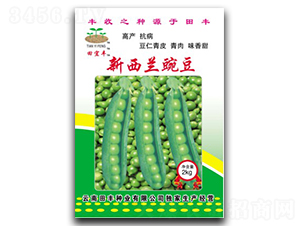 �����m�㶹-�㶹�N��-���S�N�I(y��)