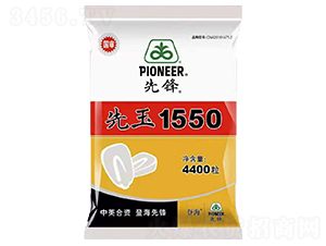 先玉1550-玉米種子-中智龍星