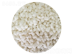 �Ȼ��@����ɫ���{(l��n)ɫ��-���S�Ƽ�