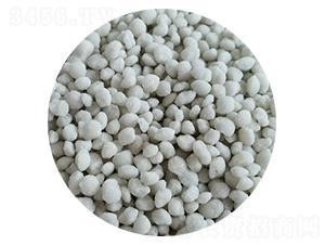 ���@����ɫ���{(l��n)ɫ��-���S�Ƽ�