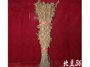 ����36-�󶹷N��-��D�N�I(y��)