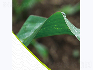 ����6-���׷N��-�����N�I(y��)