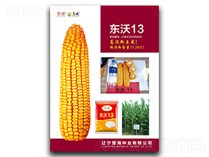 �|��13-���׷N��-�Ǻ��N�I(y��)