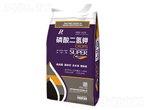 ��������-�������