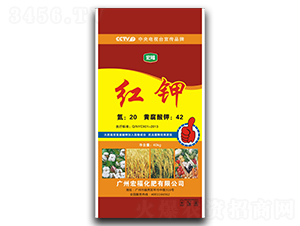 �t�-�긣����