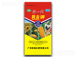 ��һ���S���-�������