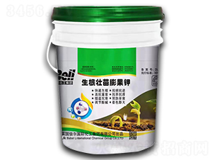 ������������-Ӣ������-�տ���