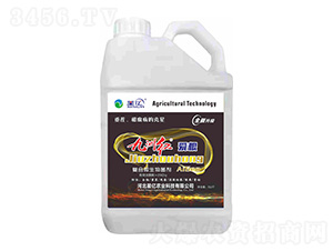 復合微生物菌劑-九州紅愛根-星億農(nóng)業(yè)