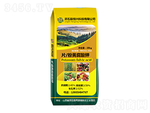 Ƭ���S�����-���d�Ƽ�