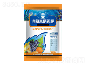 ���帻��⛷�-�������