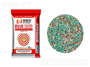 ��ጓ������29-10-12-ጱ���-������