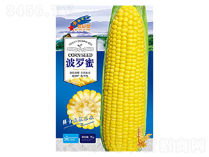 ���}��-���׷N��-�Aһ�N�I(y��)