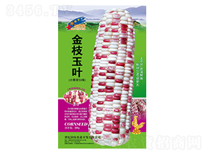 ��֦���~��������Ŵ��-���׷N��-�Aһ�N�I(y��)