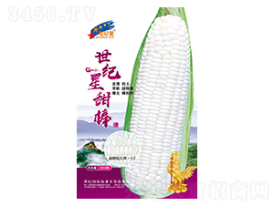 ���o�����-���׷N��-�Aһ�N�I(y��)