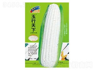 �������£�������Ŵ��-���׷N��-�Aһ�N�I(y��)