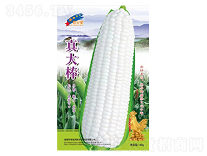 ����-���׷N��-�Aһ�N�I(y��)