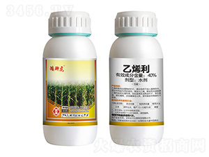 40%��ϩ��-���_��-ȫ�S