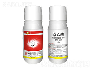 5%������-ȫ�S