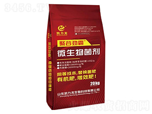 ΢�������-�۹ȄŰ�-�P����