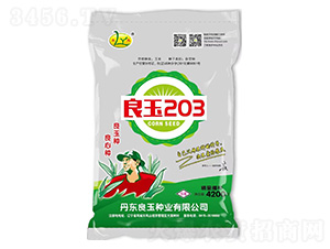 玉米種子-良玉203-良玉種業(yè)
