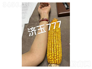 ��(j��)��777���-�͹��S