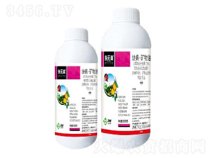 73%Ȳ�����V��������-�s�o(w��)�M-���՘�(l��)