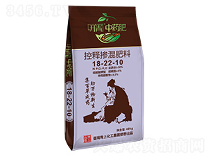 ��ጓ������18-22-10-�_����ˎ��-���ϻ���