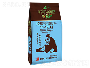 ��ጓ������18-12-18-�_(k��i)����ˎ��-���ϻ���