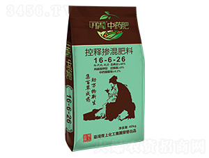 ��ጓ������16-6-26-�_����ˎ��-���ϻ���