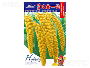 精選噸谷一號-谷子種子-豐華種業(yè)