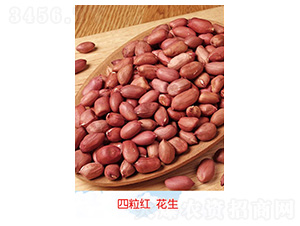 �����t����-�����N��-�S�A�N�I(y��)