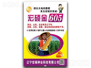 宏碩金605-玉米種子-中科正高