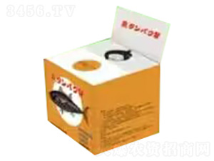 �~(y��)����-�ѹ�Ӣ