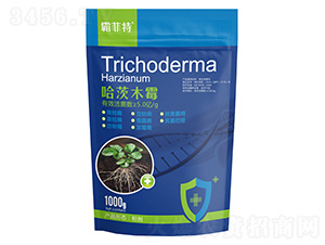 ����ľù-�Է���-�G֮Դ